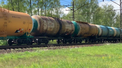 有关户外, 森林, 树木的免费素材视频