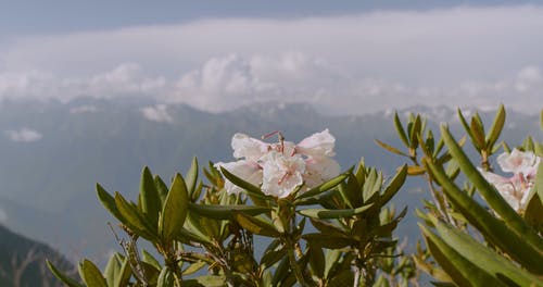 有关健行, 冒险, 夏天的免费素材视频