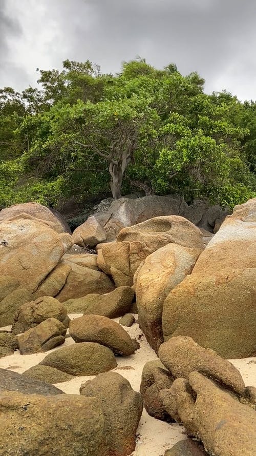 有关facebook的故事, instagram故事, natureworld的免费素材视频