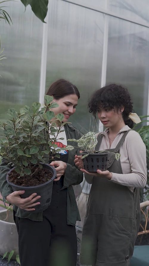 有关垂直视频, 女性, 微笑的免费素材视频