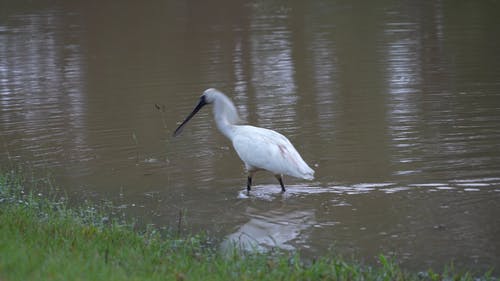 有关@户外, 匙bil, 日光的免费素材视频