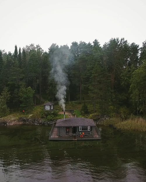 有关cinemagraph, 垂直视频, 天性的免费素材视频