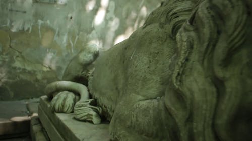 有关利沃夫, 拉出射击, 放下的免费素材视频