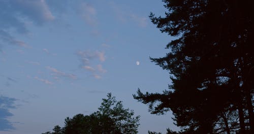 有关4k, 低角度拍摄, 剪影的免费素材视频