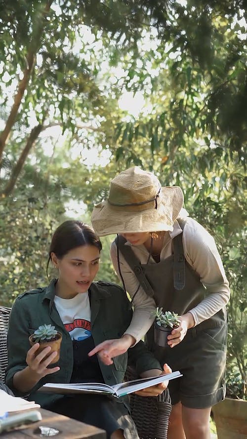 有关坐, 垂直视频, 女性的免费素材视频