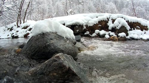 有关下雪的天气, 冬季景观, 冷的免费素材视频