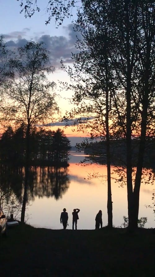 有关@户外, 剪影, 垂直视频的免费素材视频