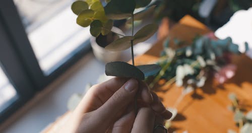 有关去除, 干, 手的免费素材视频