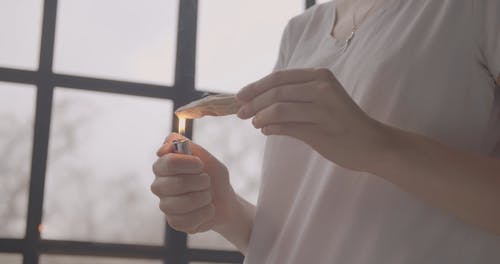 有关原本, 女人, 手的免费素材视频