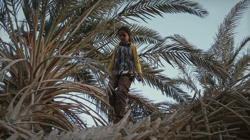 有关儿童, 女孩, 娱乐的免费素材视频