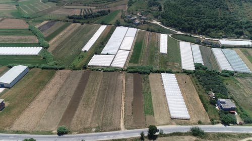 有关下田, 景观, 梯田的免费素材视频