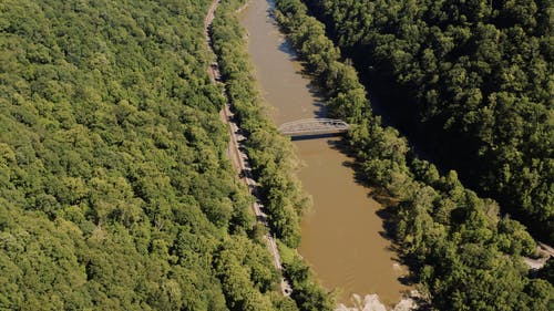 有关天性, 户外, 树木的免费素材视频