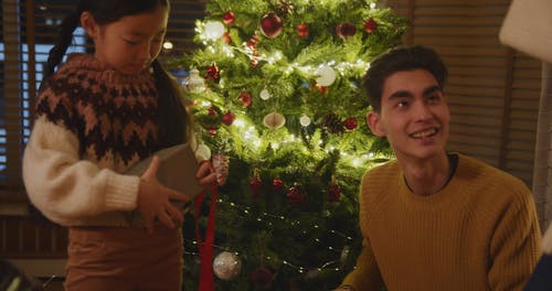 有关亚洲家庭, 圣诞气氛, 尤尔的免费素材视频
