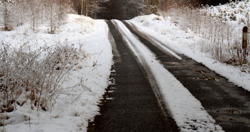 有关冬季, 冷, 大雪覆盖的免费素材视频