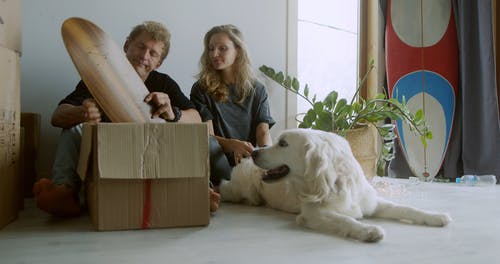 有关一对, 一起, 冲浪板的免费素材视频