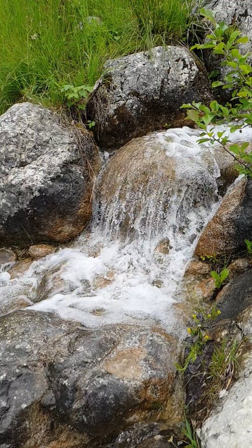 有关垂直视频, 天性, 小溪的免费素材视频