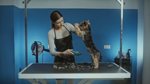 有关享受, 人, 侧面图的免费素材视频