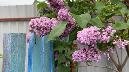 有关工厂, 後院, 户外的免费素材视频