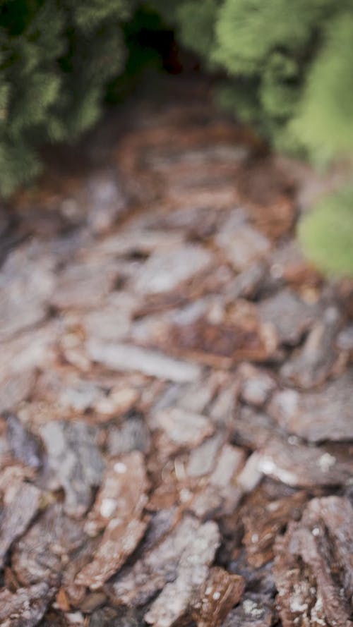 有关地面, 垂直, 垂直视频的免费素材视频