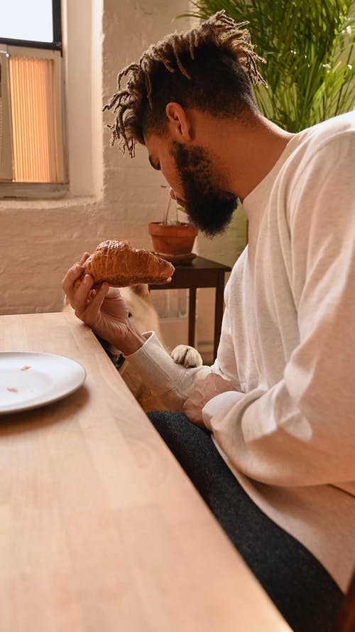 有关企业, 动物爱好者, 可爱的免费素材视频