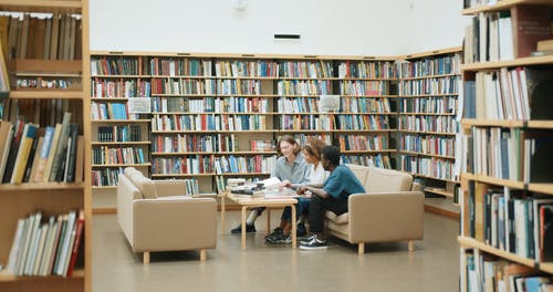 一群在图书馆里做研究的学生 · 免费素材视频