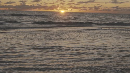 有关天性, 慢动作, 戏剧化的免费素材视频