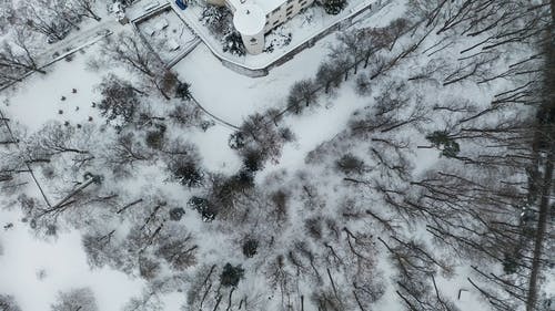 有关下雪的, 冬季, 冷的免费素材视频