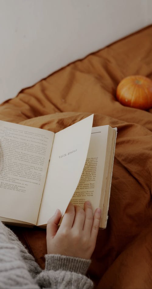 有关书爱人, 享受, 休闲的免费素材视频