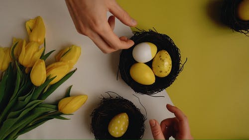 有关假日, 头顶射击, 巢的免费素材视频