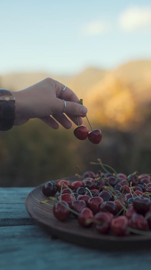 有关cinemagraph, cinemagraphy, 丰富的免费素材视频