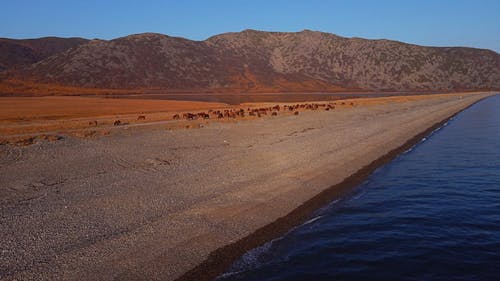 有关天性, 山, 房子的免费素材视频