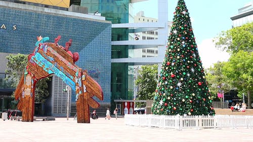 有关@户外, 倾斜射击, 假期的免费素材视频