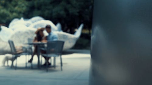 情侣在公园读书 · 免费素材视频