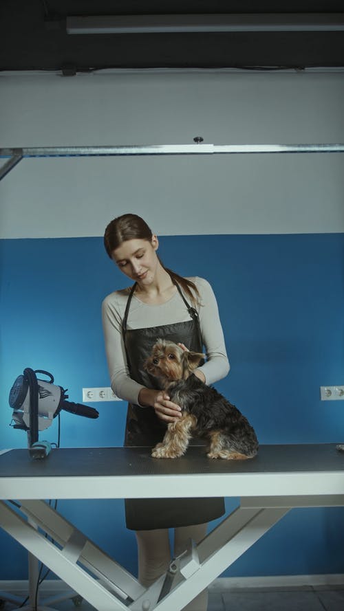 有关人, 可爱, 可爱的的免费素材视频