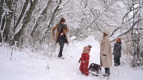 有关下雪, 下雪的, 享受的免费素材视频