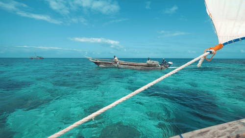 有关人, 天堂, 天性的免费素材视频