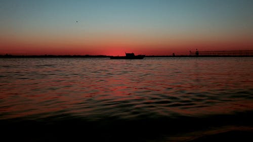 有关地平线, 大火, 天性的免费素材视频