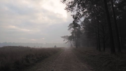 有关多云的天空, 天性, 小路的免费素材视频