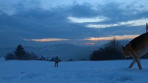 有关冬季, 冷, 地面的免费素材视频