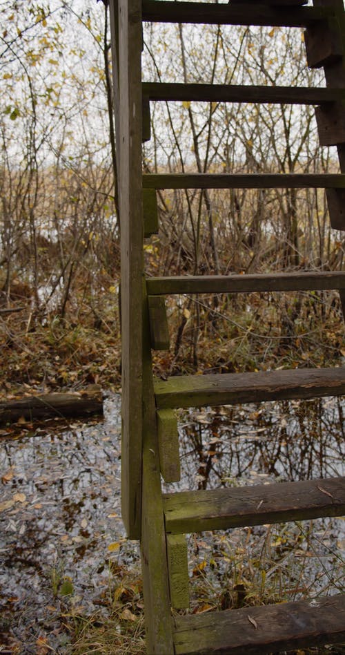 有关下落, 下降, 垂直视频的免费素材视频