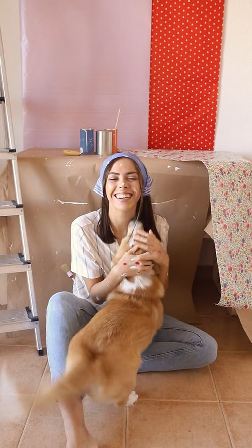 有关人, 伴侣, 动物的免费素材视频