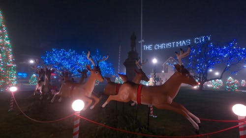 有关@户外, 不露面, 假期的免费素材视频