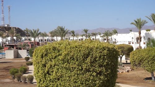 有关假期, 夏天, 多风的免费素材视频