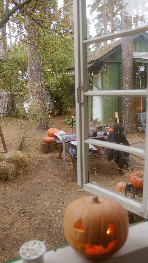 有关儿童, 南瓜, 南瓜脸的免费素材视频