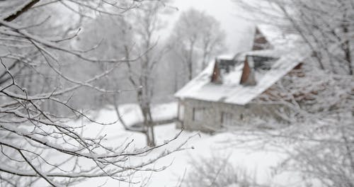 有关下雪的天气, 冬季, 冷的免费素材视频