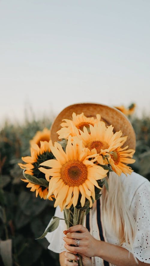 有关向日葵, 女人, 握住的免费素材视频