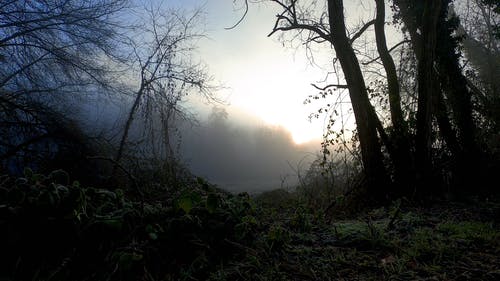 有关4k, 低角度, 冒险的免费素材视频