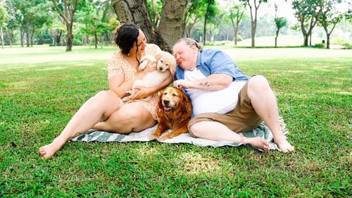 有关一对, 动物爱好者, 可爱的免费素材视频