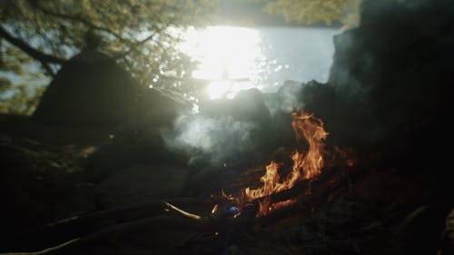 有关人, 天性, 太阳光线的免费素材视频