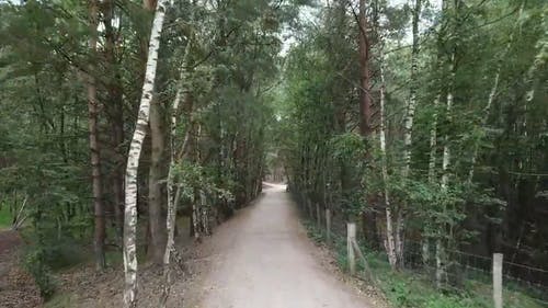 有关公路旅行, 冒险, 向前进的免费素材视频